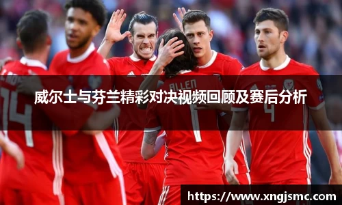 威尔士与芬兰精彩对决视频回顾及赛后分析